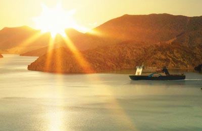 Jämför och boka Bluebridge biljetter till Picton och Wellington med AFerry!